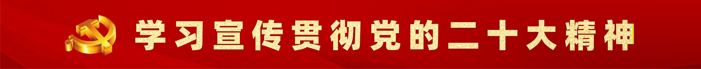 深入學(xué)習(xí)貫徹黨的二十大精神