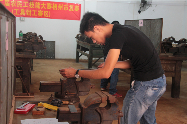 廣西第二屆農(nóng)民工技能大賽梧州市市級復賽啟動