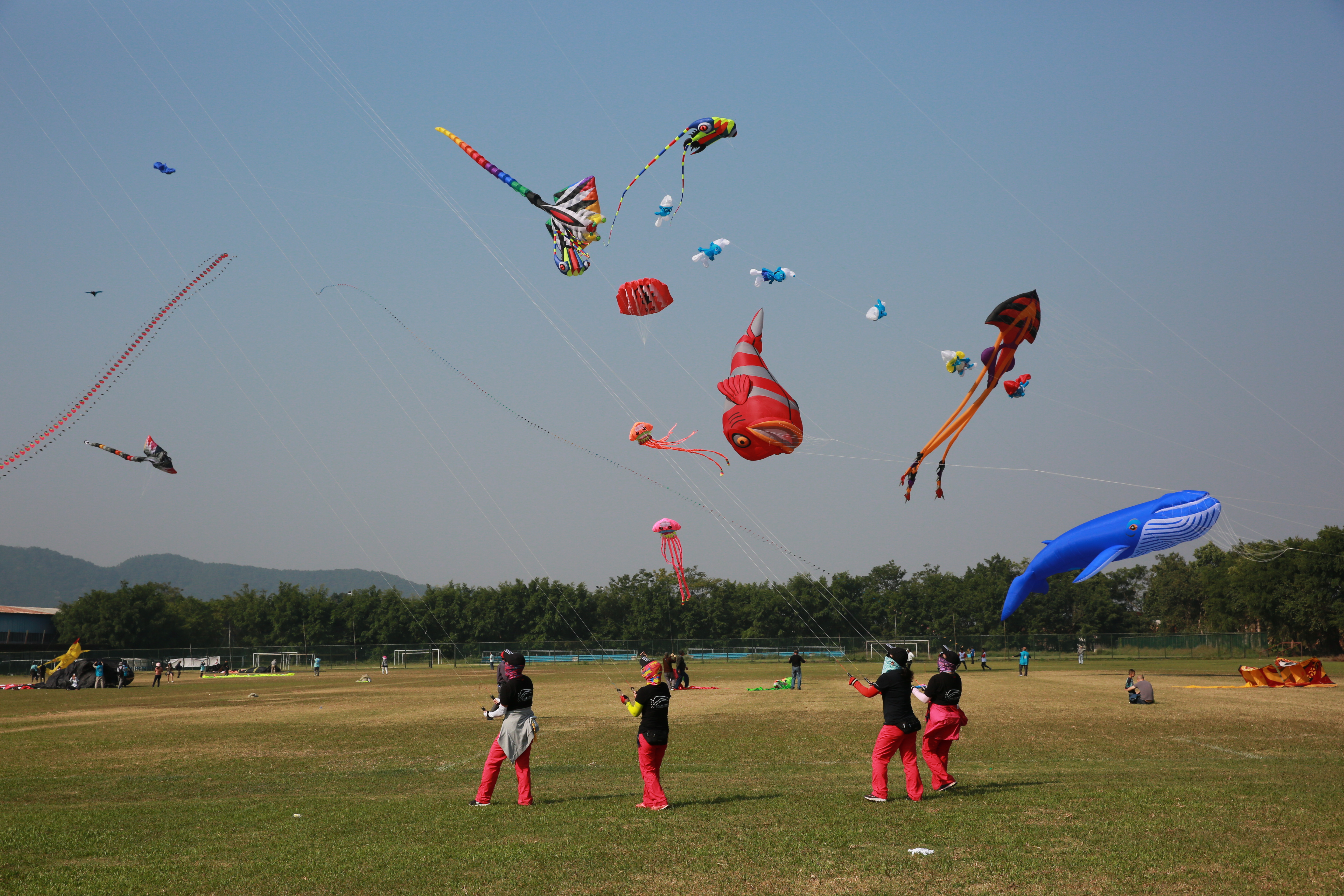 精彩梧州 放飛夢(mèng)想