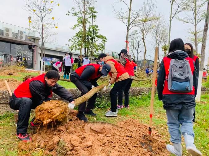 梧州市總工會組織開展2020年造林綠化志愿服務活動