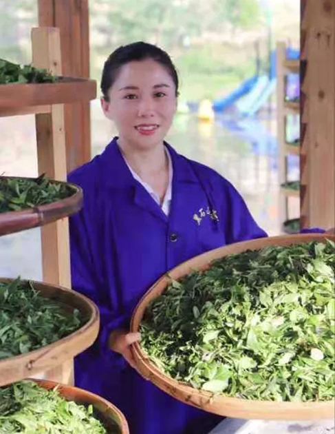 【梧州工匠】石濡菲：擇一茶，修一技，終一生