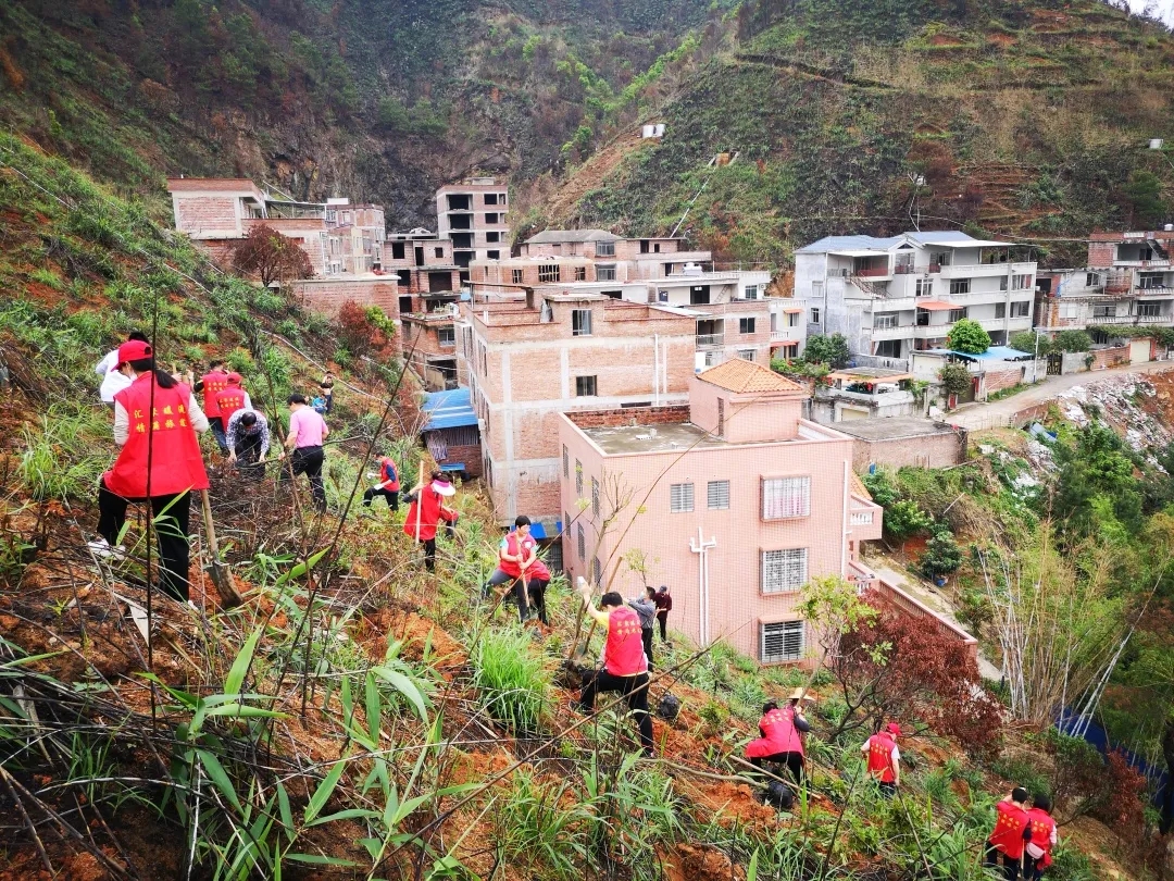 梧州市總工會開展2020年義務(wù)植樹活動