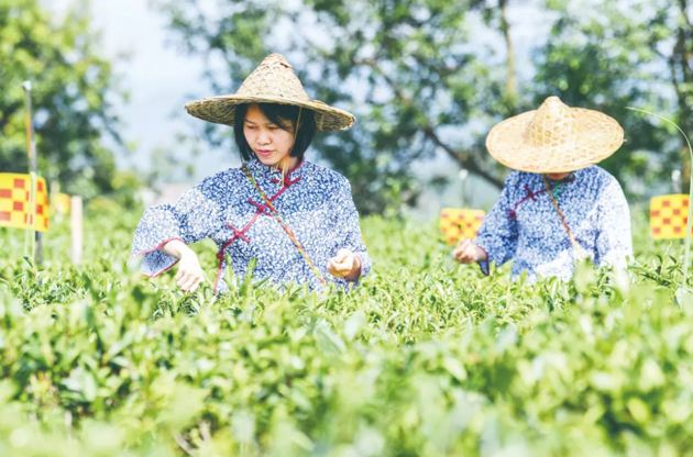 國(guó)家批復(fù)同意，梧州籌建！