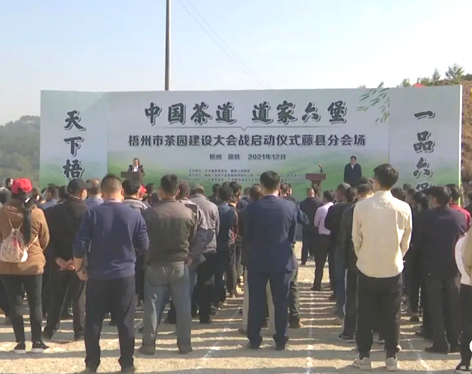 我市召開茶產(chǎn)業(yè)發(fā)展大會茶園建設(shè)現(xiàn)場會 吹響建設(shè)百萬畝茶園沖鋒號角