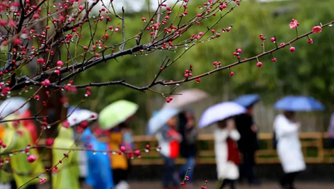 今日雨水！別忘了咱的老講究！