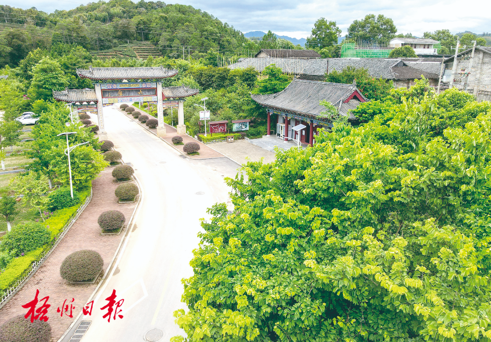 梧州全市生態(tài)茶園面積達(dá)33.34萬畝！