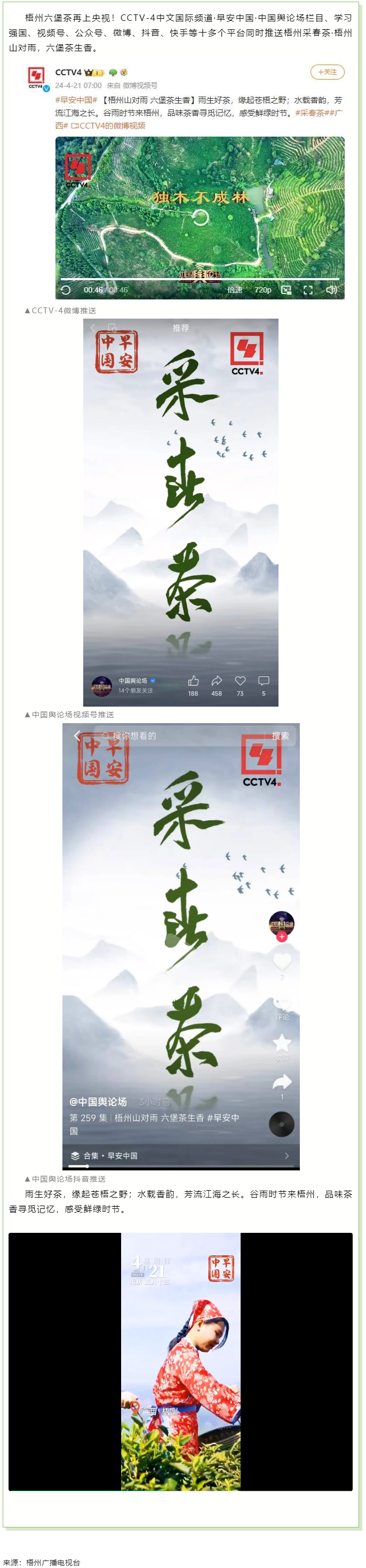 央視、學(xué)習(xí)強國等十多個平臺同時推送梧州采春茶&middot;梧州六堡茶.png