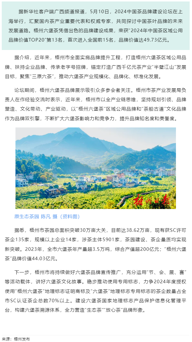 排名全國第13名！&ldquo;梧州六堡茶&rdquo;品牌價值實現(xiàn)新突破.png