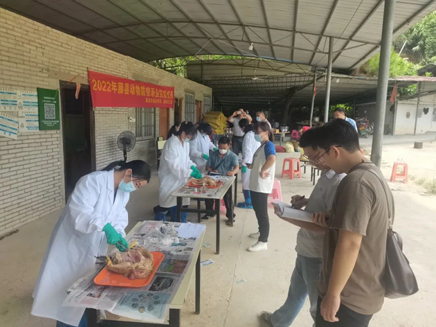 藤縣總工會舉辦首屆動(dòng)物防疫職業(yè)技能競賽活動(dòng)