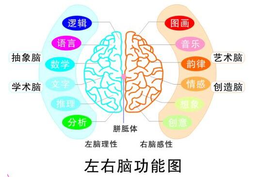 1575287253641614.png 7.jpg