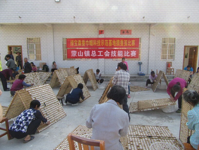 蒙山鎮(zhèn)總工會舉辦摘蠶繭比賽
