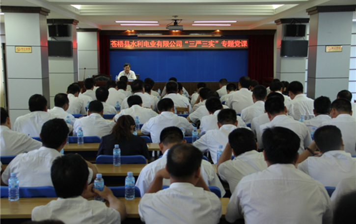 蒼梧縣水利電業(yè)有限公司開展 “三嚴(yán)三實”專題教育黨課